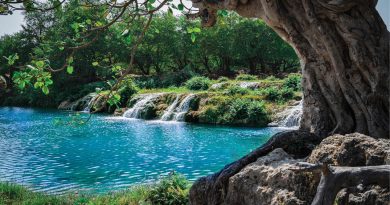 Oman-5 Reasons to Discover the Khareef Season Now