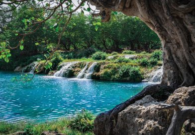 Oman-5 Reasons to Discover the Khareef Season Now