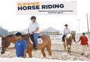 Summer Horse Riding at AESGC
